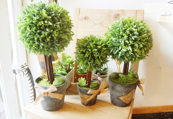 goc-lam-viec-thu-thai-hon-nho-nhung-chau-cay-dep-de-tim-mua-2